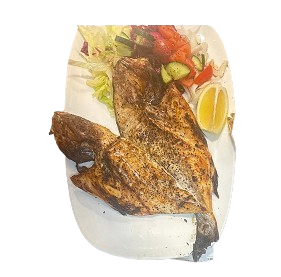 Sea Bream 
